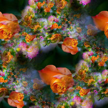 Load image into Gallery viewer, Orange Heaven
