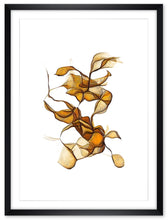 Load image into Gallery viewer, Leaf nut
